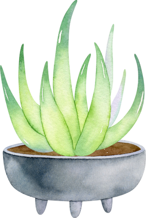 (304-01) Watercolor Potted Cactus Succulents