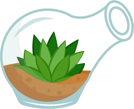 (304-01) Cactus Succulents