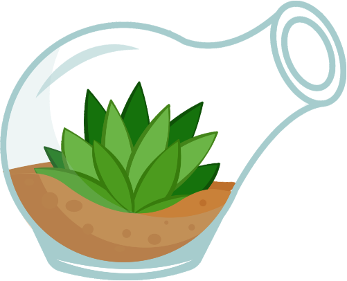 (304-01) Cactus Succulents