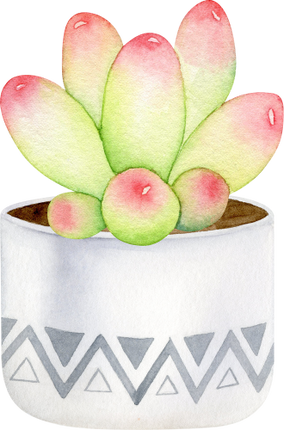 (304-01) Watercolor Potted Cactus Succulents