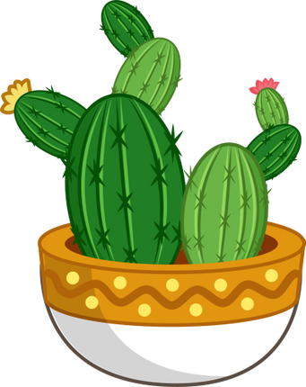 (304-01) Cactus Succulents