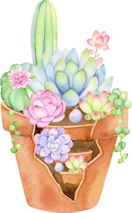 (304-01) Watercolor Potted Cactus Succulents
