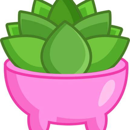 (304-01) Cactus Succulents