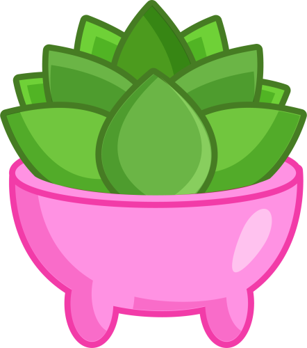 (304-01) Cactus Succulents