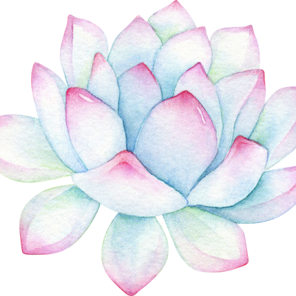 (304-01) Watercolor Potted Cactus Succulents