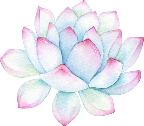 (304-01) Watercolor Cactus Succulents