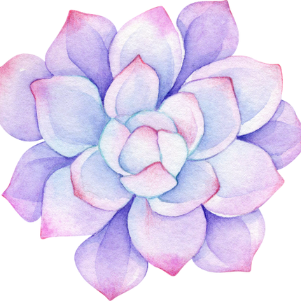(304-01) Watercolor Potted Cactus Succulents