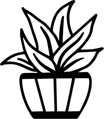 (s304-R) Cactus Cacti