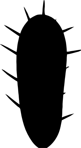 (s304-H) Cactus Silhouette