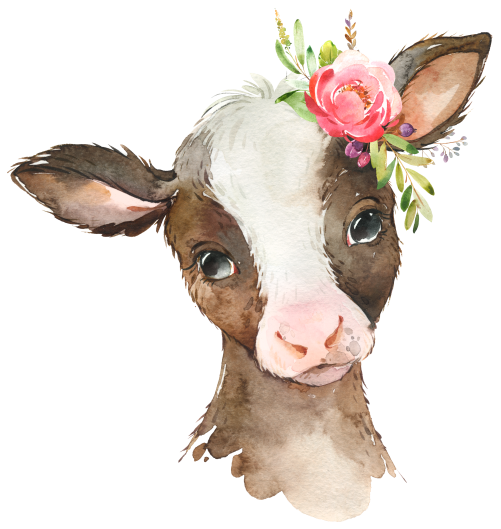 (s313-1-1A-30) Baby Cow Flowers