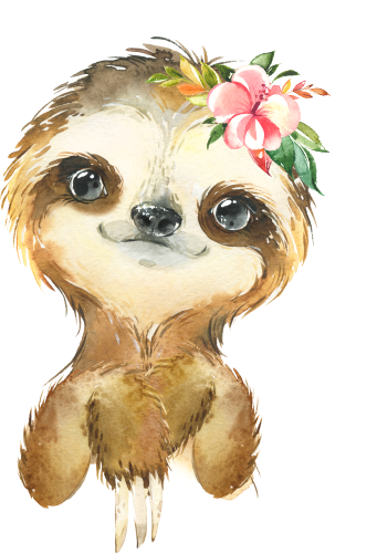 (s313-1-2A-41) Baby Sloth Flowers