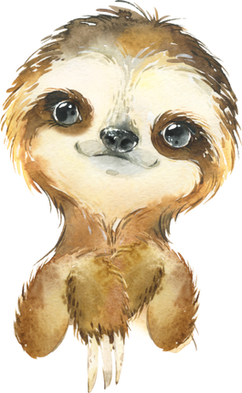 (s313-1-2A) Baby Sloth