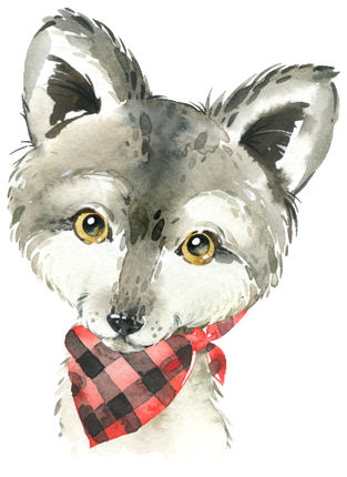 (s313-1-3A-24) Baby Wolf Red Bandana