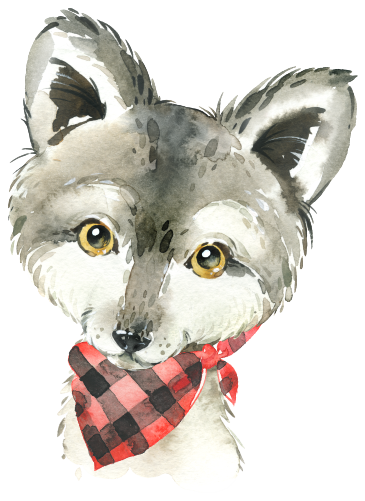 (s313-1-3A-24) Baby Wolf Red Bandana