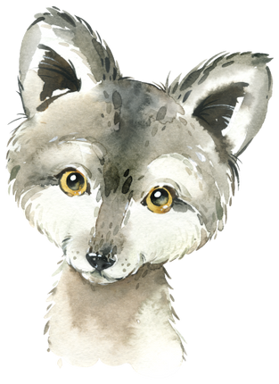 (s313-1-3A) Baby Wolf