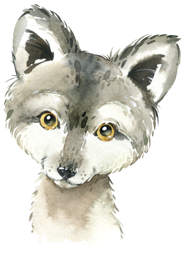 (s313-1-3A) Baby Wolf