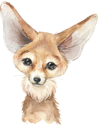 (s313-1-4A) Baby Fennec Fox