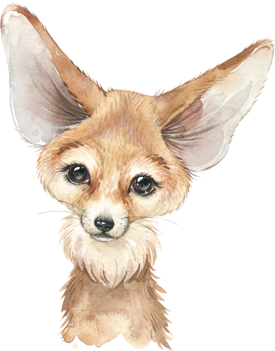 (s313-1-4A) Baby Fennec Fox