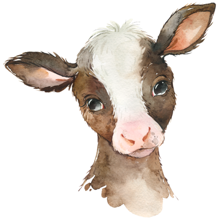 (s313-1-1A) Baby Cow