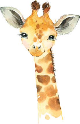 (s313-1-2B) Baby Giraffe