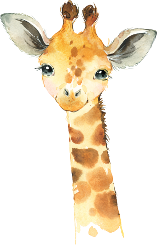 (s313-1-2B) Baby Giraffe