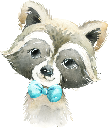 (s313-1-3B-13) Baby Racoon Turquoise Blue Bowtie