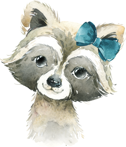 (s313-1-3B-21) Baby Racoon Teal Bow