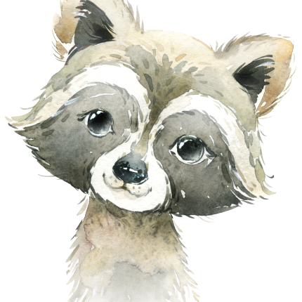 (s313-1-3B) Baby Racoon