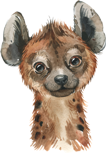 (s313-1-4B) Baby Hyena