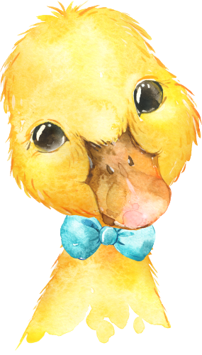 (s313-1-1C-13) Baby Duck Turquoise Blue Bowtie