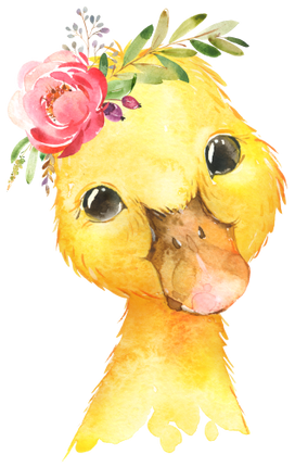 (s313-1-1C-30) Baby Duck Flowers