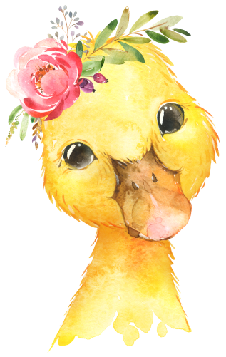 (s313-1-1C-30) Baby Duck Flowers