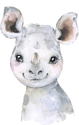 (s313-1-2C) Baby Rhino