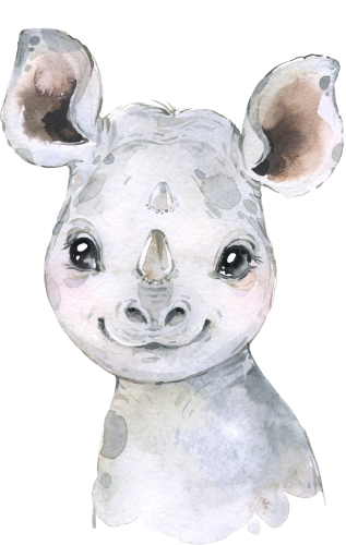 (s313-1-2C) Baby Rhino