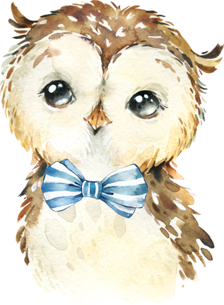 (s313-1-3C-16) Baby Owl  Blue Bowtie