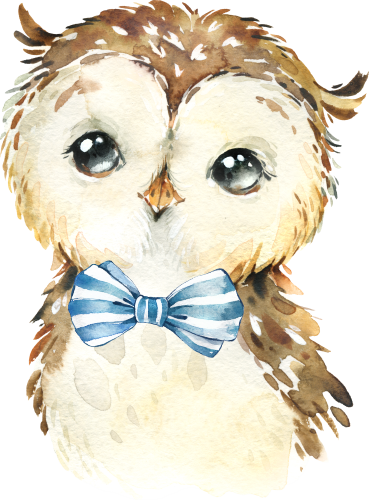 (s313-1-3C-16) Baby Owl  Blue Bowtie