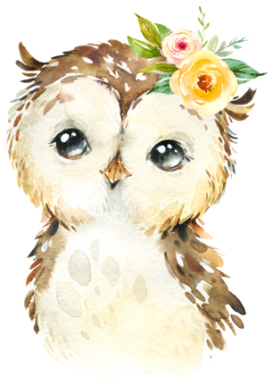 (s313-1-3C-53) Baby Owl Flowers