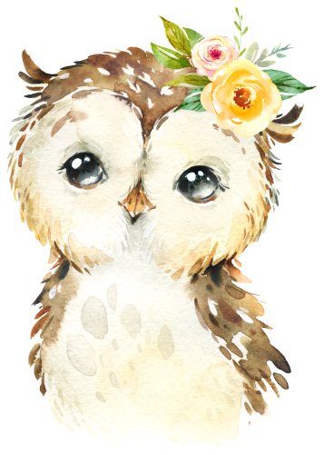 (s313-1-3C-53) Baby Owl Flowers