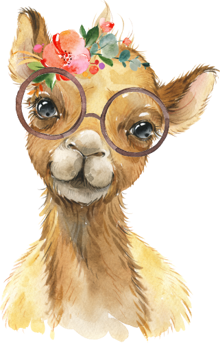 (s313-1-4C-40_2) Baby Camel Glasses Flowers