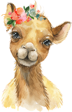 (s313-1-4C-40) Baby Camel Flowers