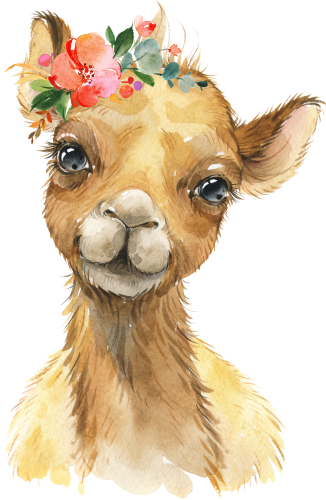 (s313-1-4C-40) Baby Camel Flowers