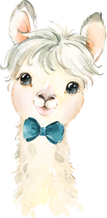 (s313-1-1D-21) Baby Llama Teal Bowtie