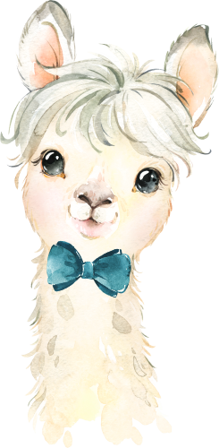 (s313-1-1D-21) Baby Llama Teal Bowtie