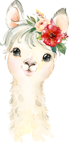 (s313-1-1D-31) Baby Llama Flowers