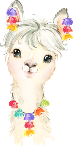 (s313-1-1D-59) Baby Llama Pom Poms