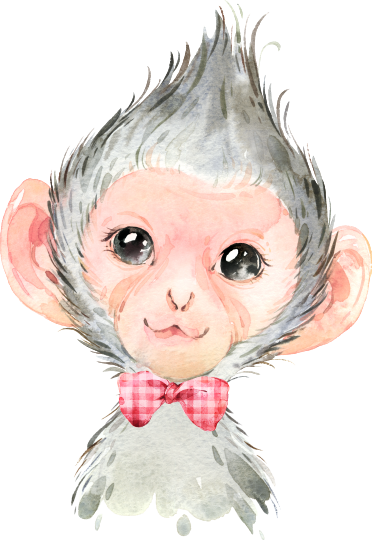 (s313-1-2D-18) Baby Monkey Red Bowtie