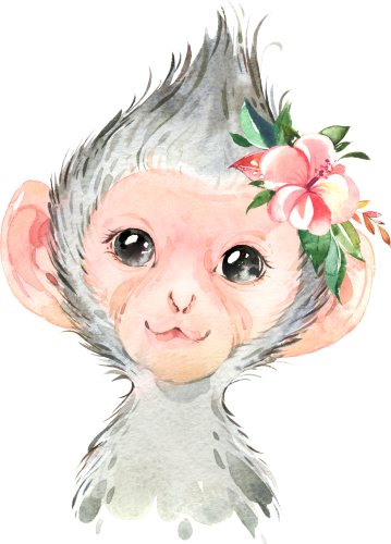 (s313-1-2D-41) Baby Monkey Flowers