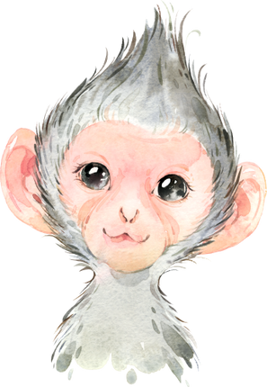 (s313-1-2D) Baby Monkey