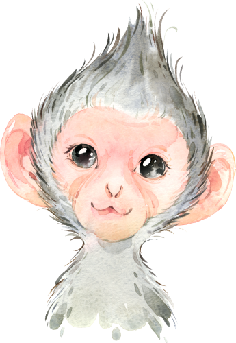 (s313-1-2D) Baby Monkey