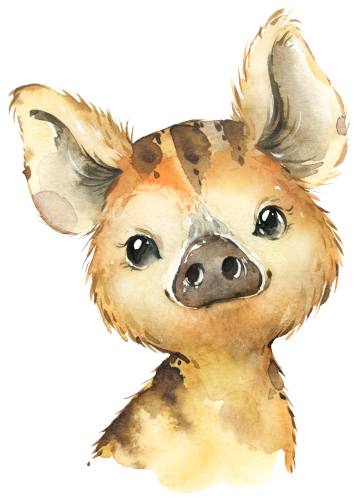 (s313-1-3D) Baby Pig